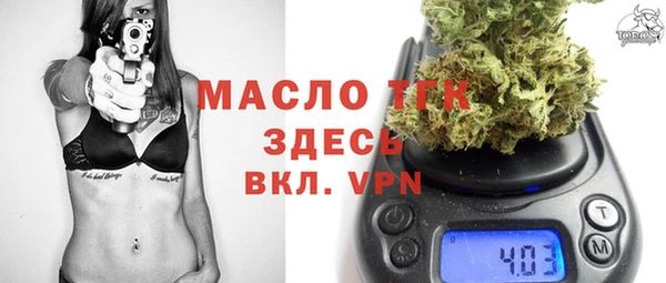 сатива Армянск