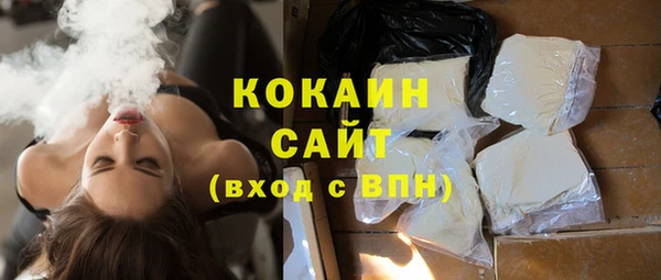 сатива Армянск