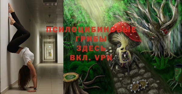 сатива Армянск