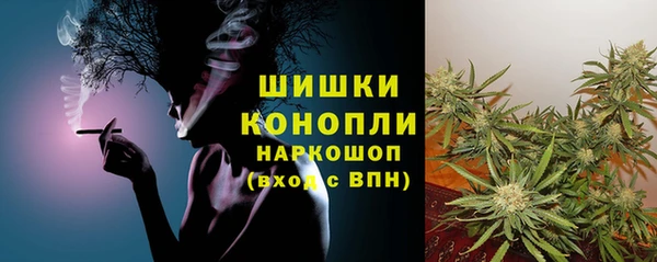 сатива Армянск
